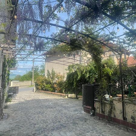Villa Luxury House Teodora Deva Exterior foto