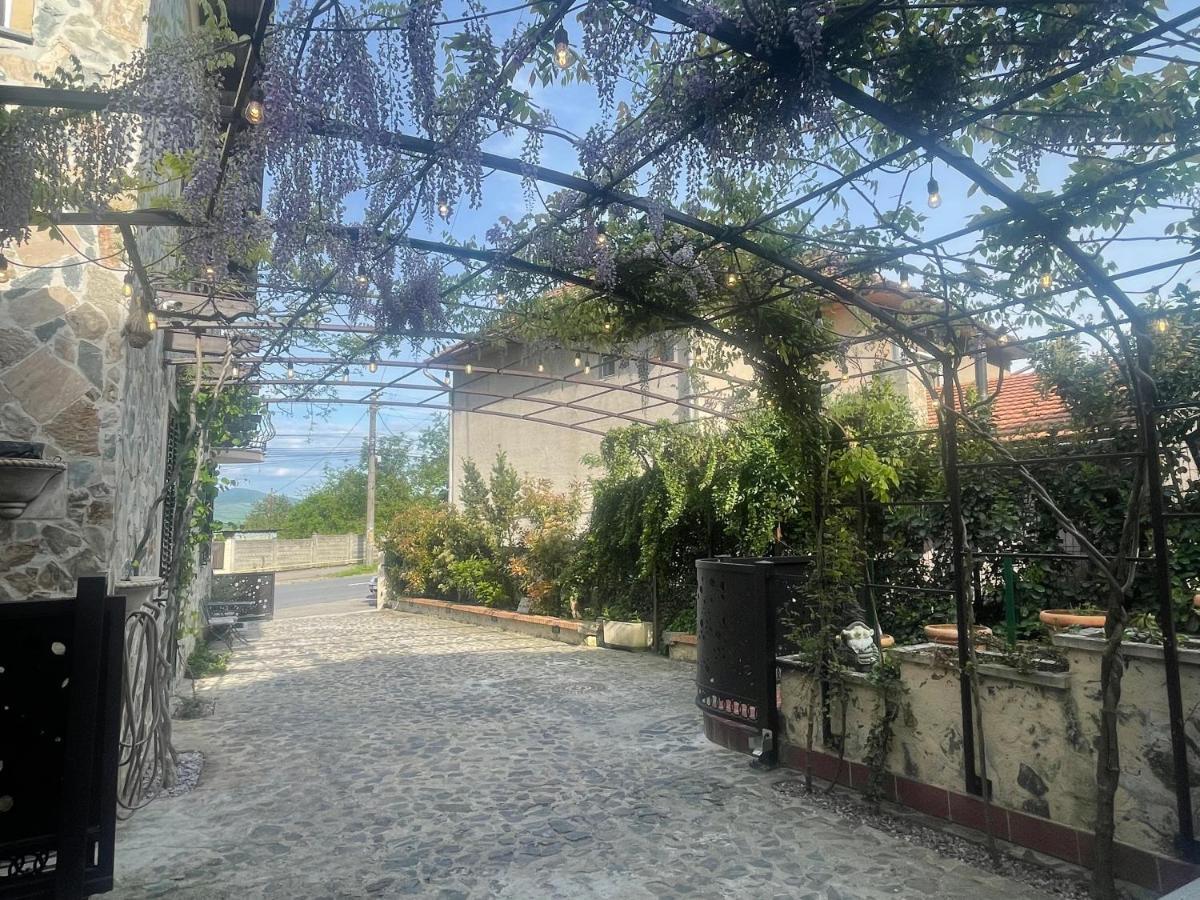 Villa Luxury House Teodora Deva Exterior foto